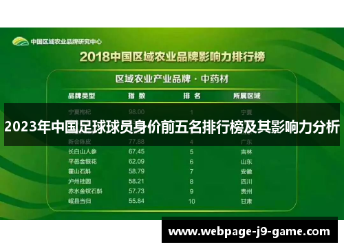 2023年中国足球球员身价前五名排行榜及其影响力分析