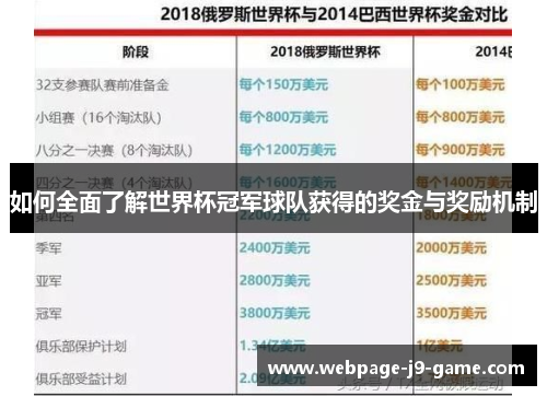如何全面了解世界杯冠军球队获得的奖金与奖励机制
