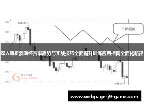 深入解析澳洲杯赛事趋势与实战技巧全面提升训练应用指南全面化路径