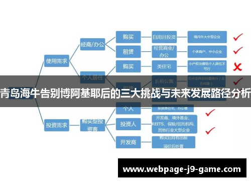 青岛海牛告别博阿基耶后的三大挑战与未来发展路径分析