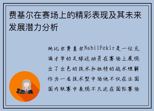 费基尔在赛场上的精彩表现及其未来发展潜力分析